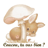 coucou